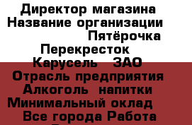 Директор магазина › Название организации ­ X5 Retail Group «Пятёрочка», «Перекресток», «Карусель», ЗАО › Отрасль предприятия ­ Алкоголь, напитки › Минимальный оклад ­ 1 - Все города Работа » Вакансии   . Московская обл.,Железнодорожный г.